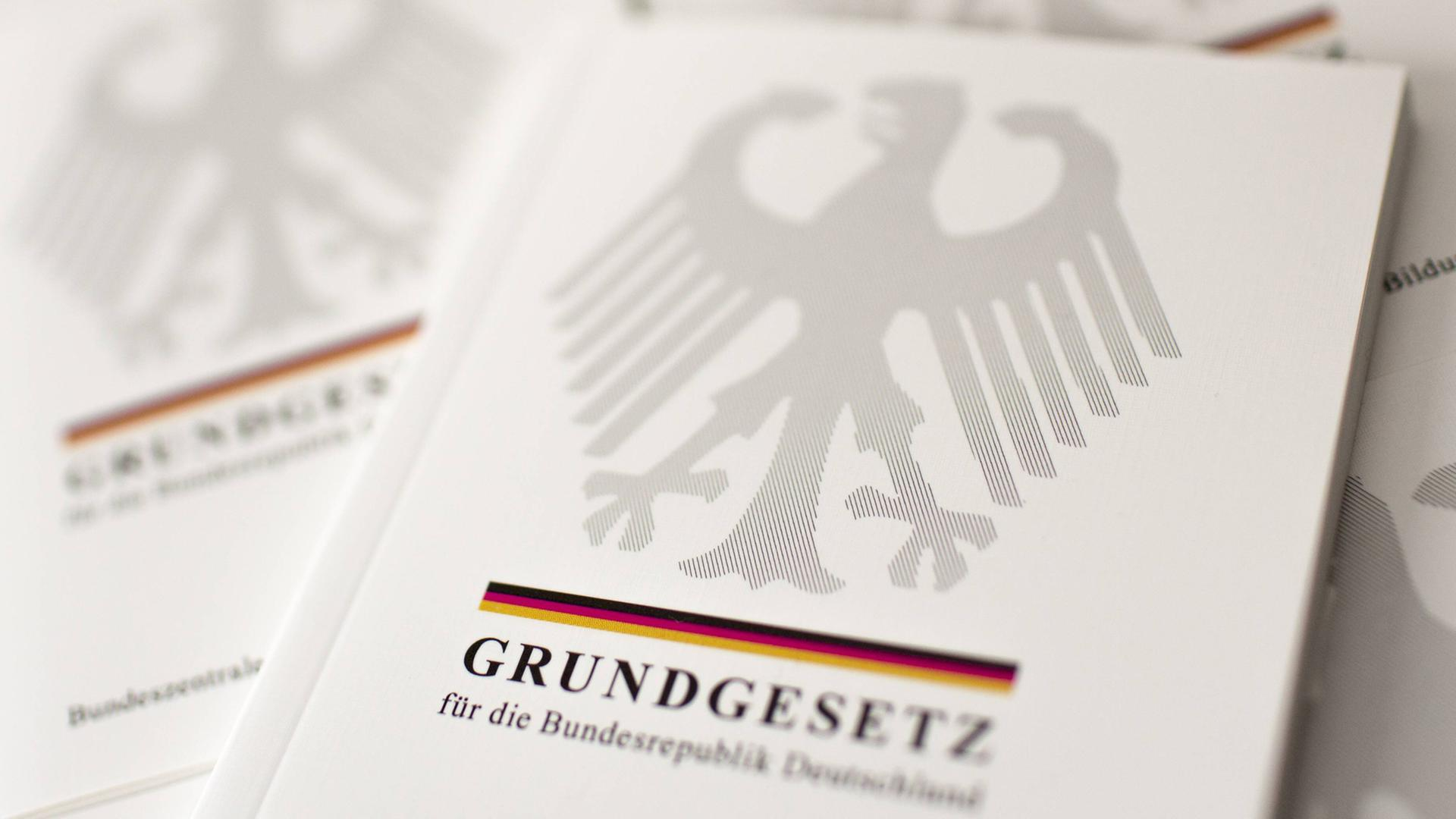 Read more about the article Das Grundgesetz und seine Rechte