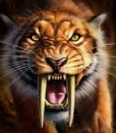 Mehr über den Artikel erfahren Fantasiegeschichten schreiben 4