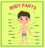 Mehr über den Artikel erfahren Body 4