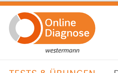 Mehr über den Artikel erfahren Onlinediagnose Fe