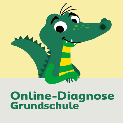 Mehr über den Artikel erfahren Übungen zur Onlinediagnose EG